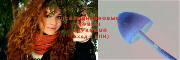 гашик Алексеевка