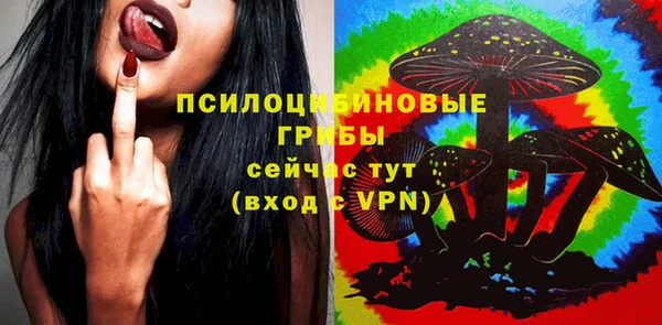 гашик Алексеевка