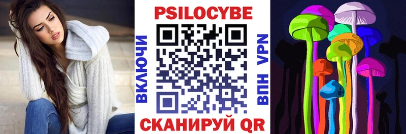 Псилоцибиновые грибы Cubensis  купить закладку  Камышин 