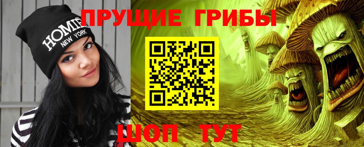 Галлюциногенные грибы Magic Shrooms  Псилоцибиновые грибы мицелий  Вход с VPN  Камышин 