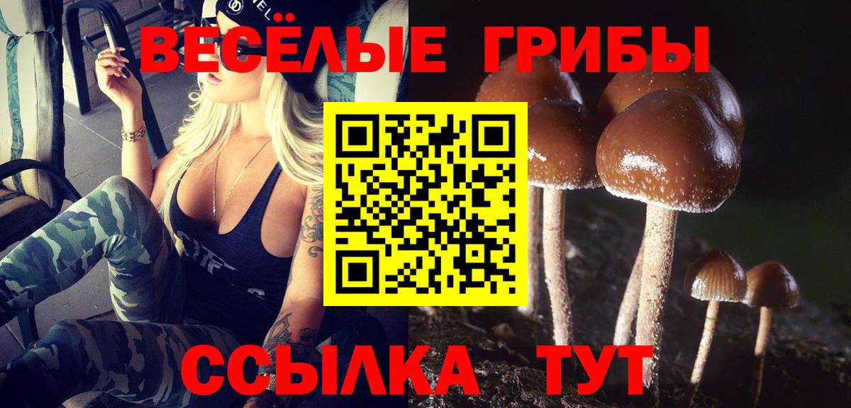 Галлюциногенные грибы GOLDEN TEACHER Камышин