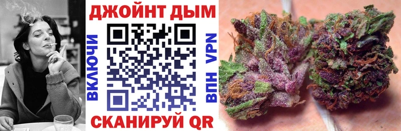 как найти наркотики Камышин Каннабис гибрид